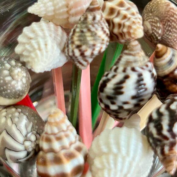 Set of 12 Vintage Shell Drink Picks – Coastal Tiki Party Seashell Cocktail Picks - Picture 9 of 11